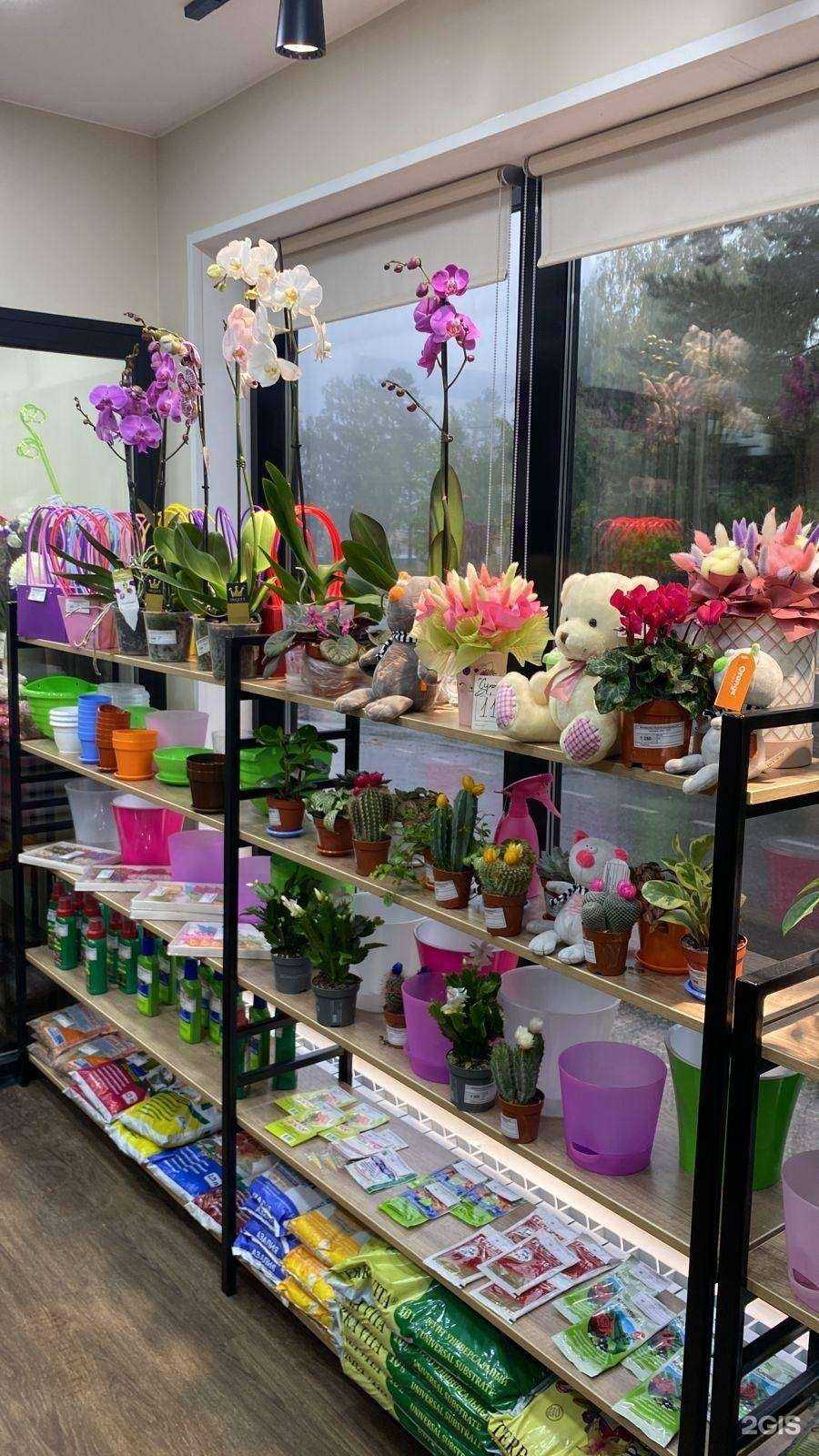 Отзывы на компанию Крона в Дивногорске c фото