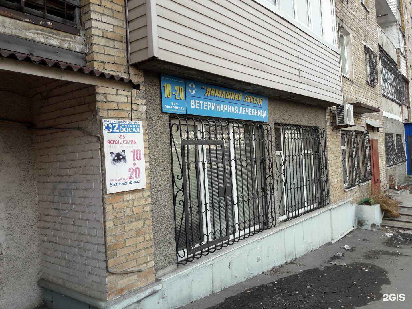 Отзывы на компанию Домашний зоосад в Владивостоке c фото