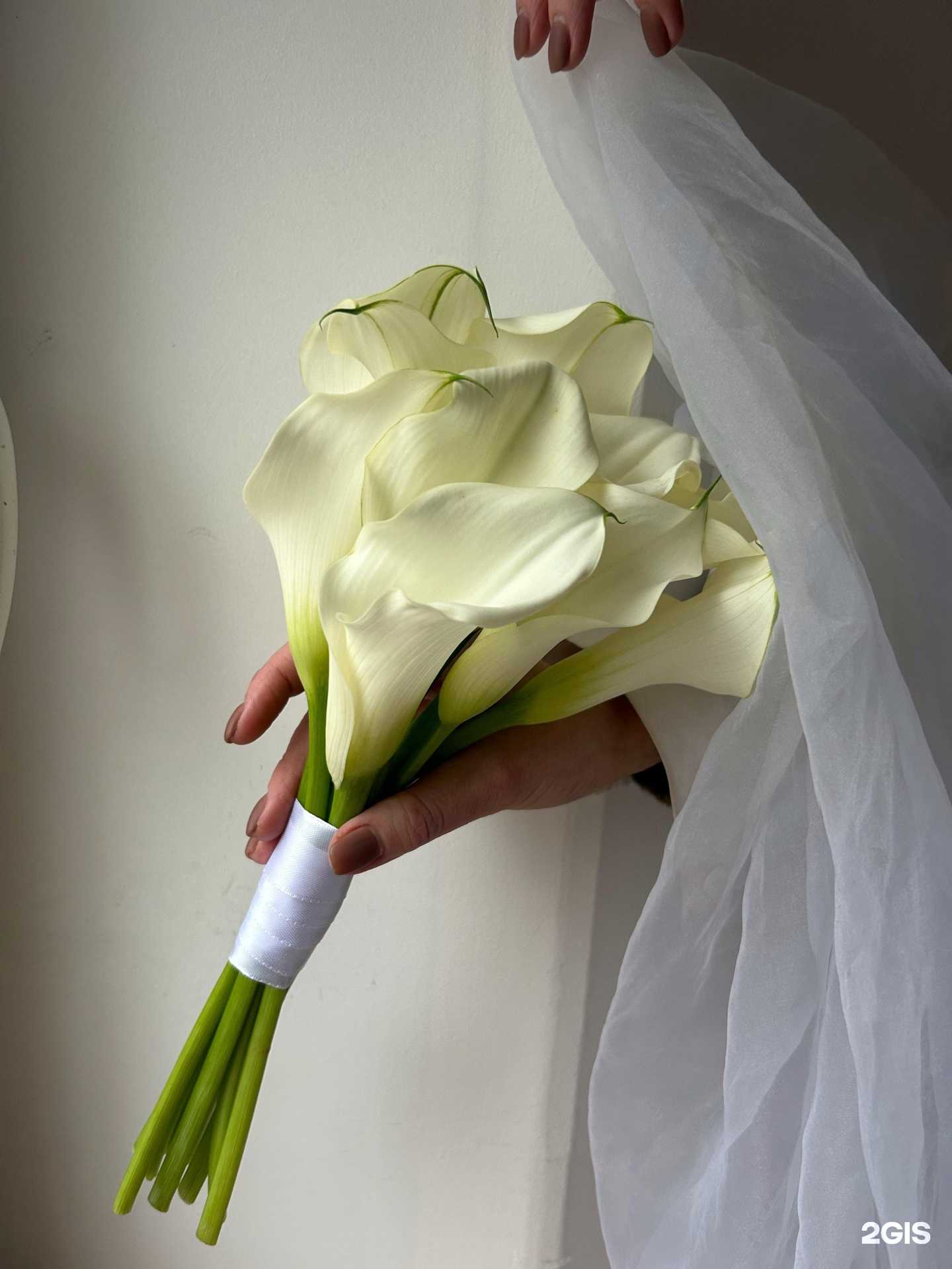 Отзывы на компанию Flora в Кирове c фото