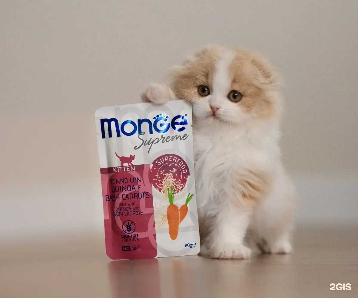 Отзывы на компанию Ветмаркет в г. Ставрополь c фото