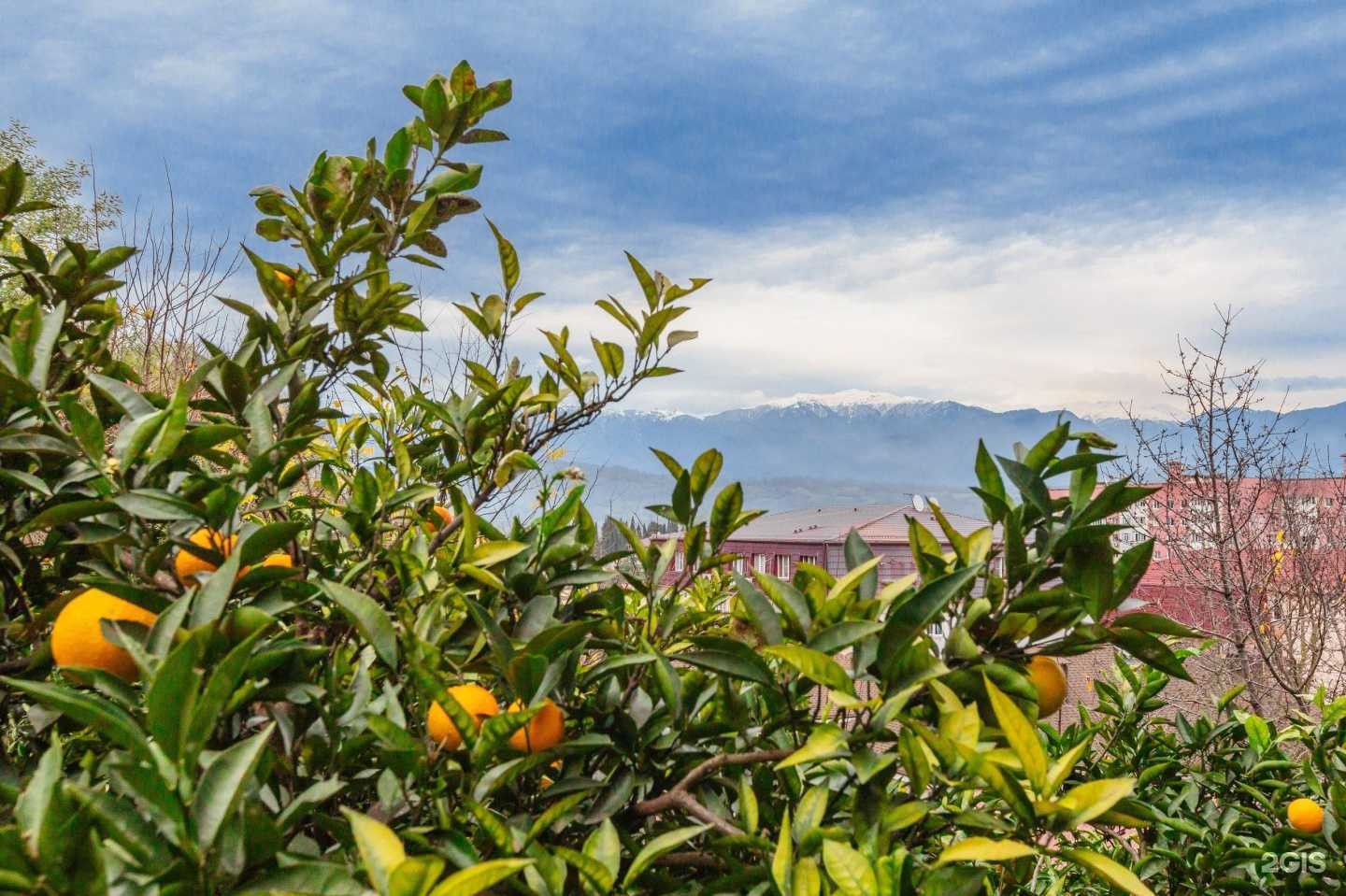 Отзывы на компанию Sunny day в Сочи c фото