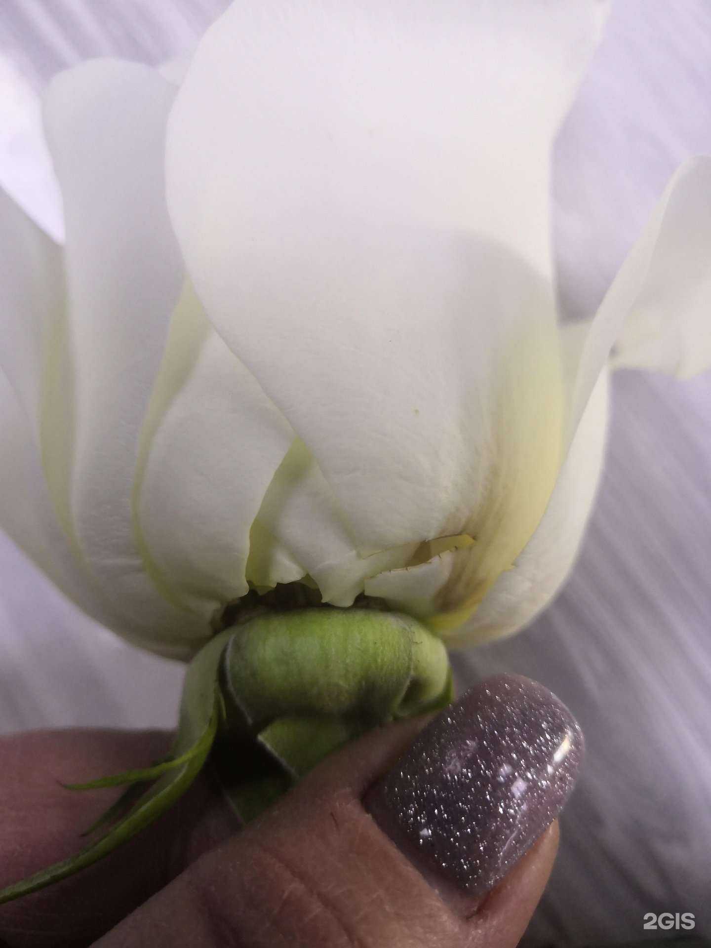 Отзывы на компанию Лима-РБ в г. Салават c фото