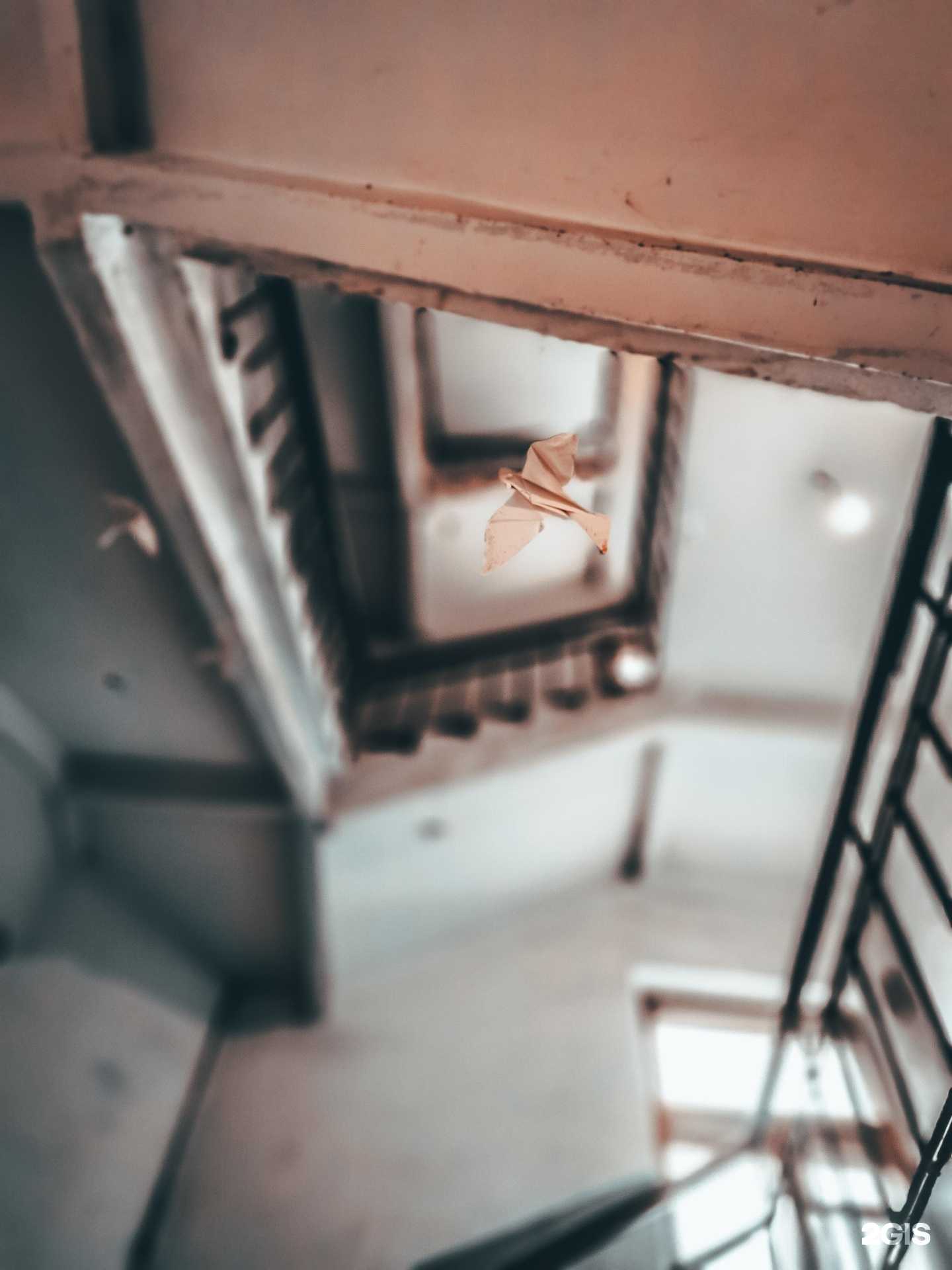 Отзывы на компанию Butcha в Выборге c фото - фотография 2 из 2