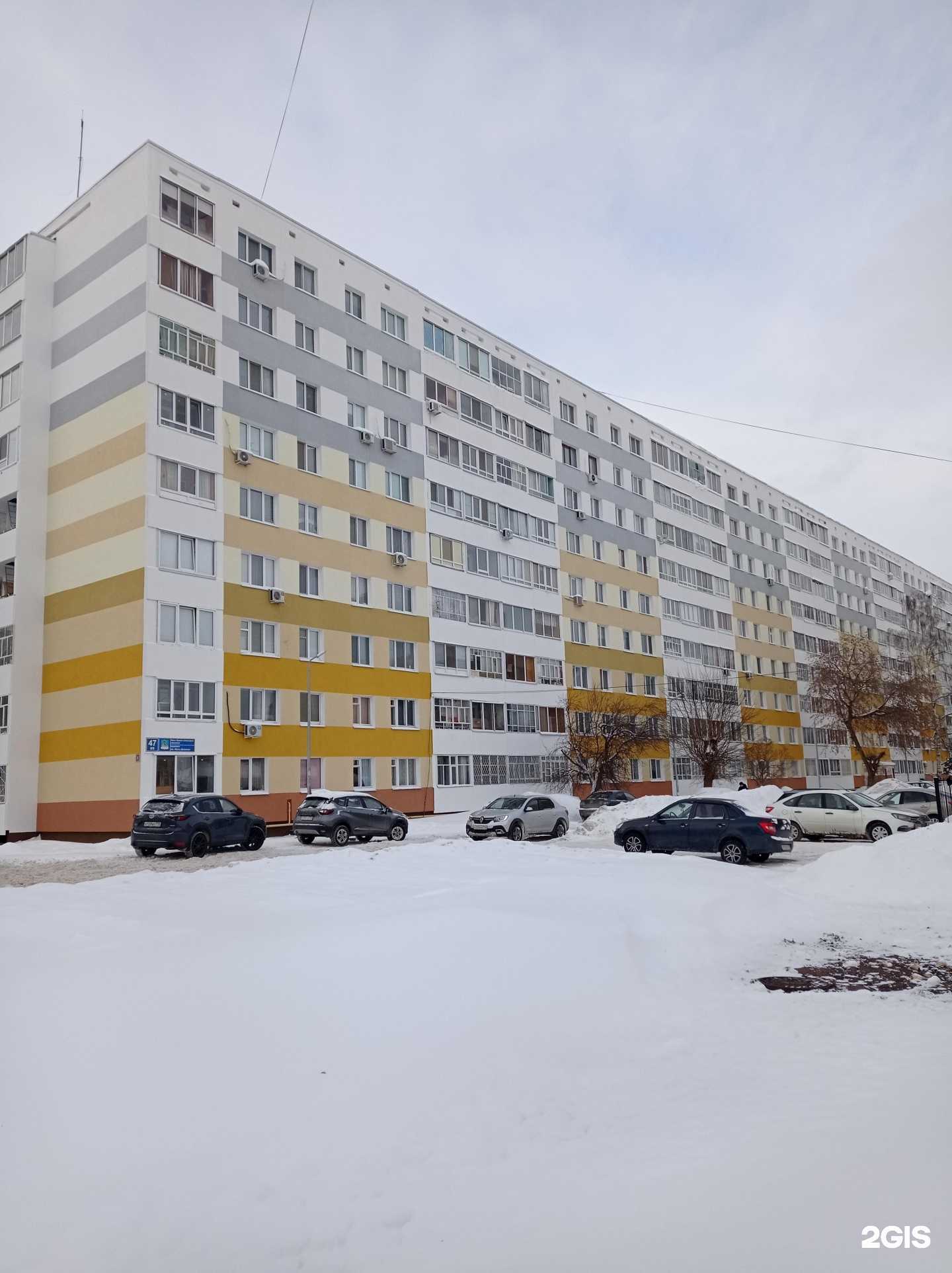 Отзывы на компанию Зооветфарм в Набережных Челнах c фото - фотография 2 из 2