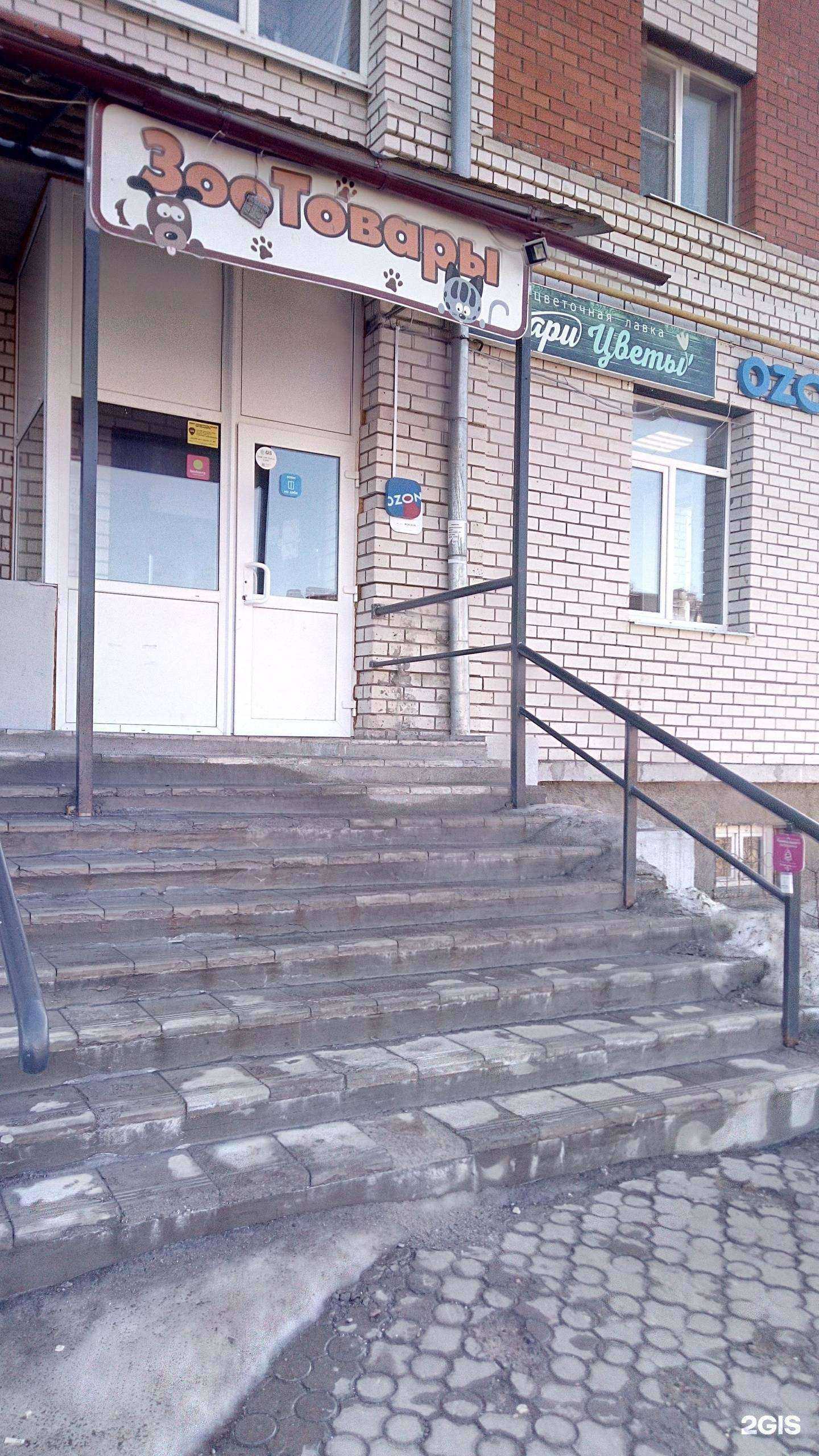 Отзывы на компанию Зоомагазин в Владимире c фото