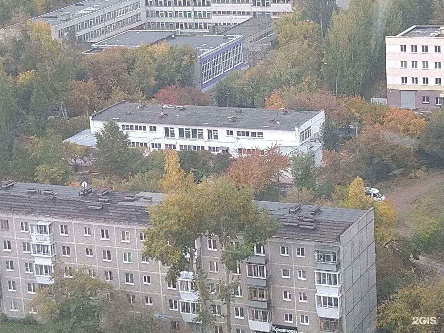 Отзывы на компанию Детский сад №100 в Екатеринбурге c фото