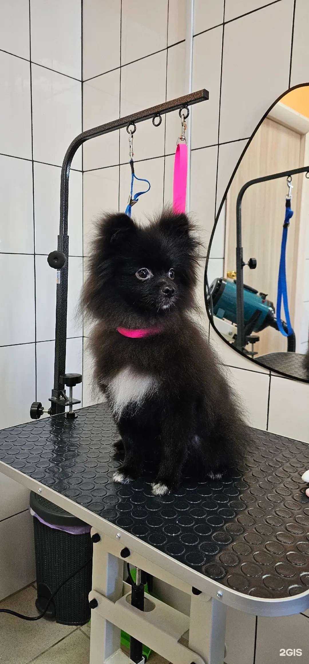 Отзывы на компанию Марсианин в Рязани c фото