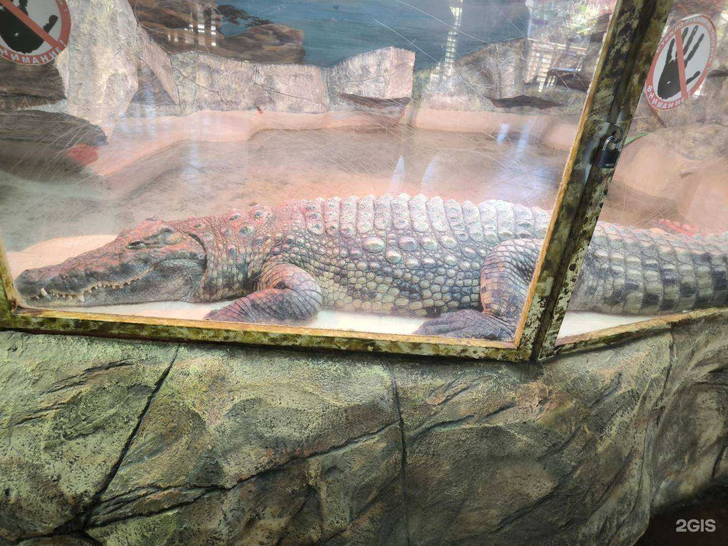 Отзывы на компанию Км в Сочи c фото