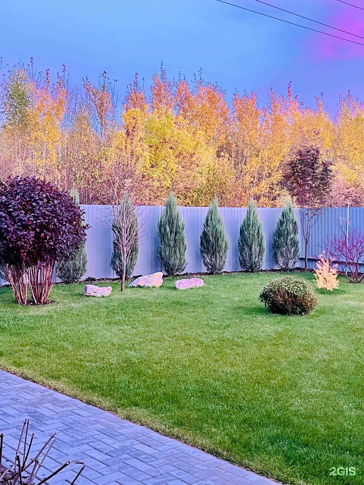 Отзывы на компанию Самшит в Омске c фото