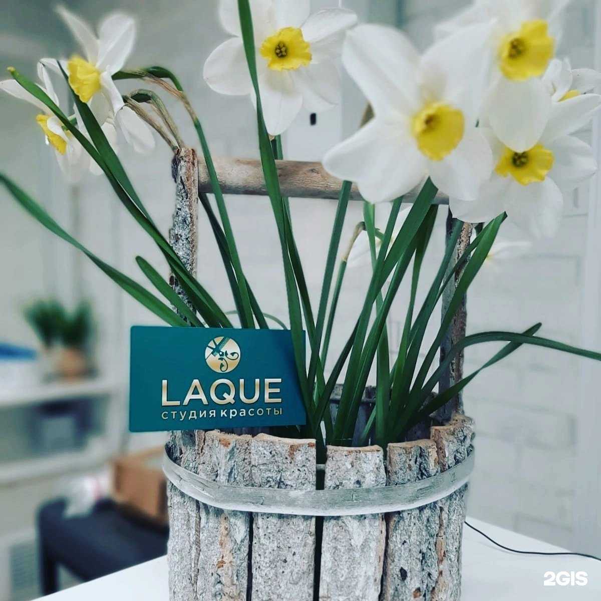 Отзывы на компанию Laque в Смоленске c фото