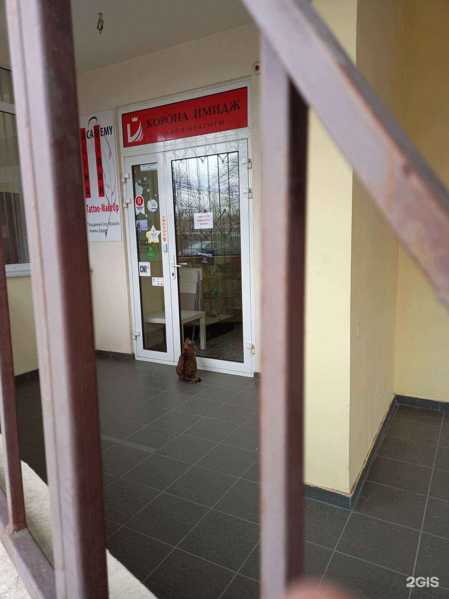 Отзывы на компанию Бигуди&ножницы в Краснодаре c фото