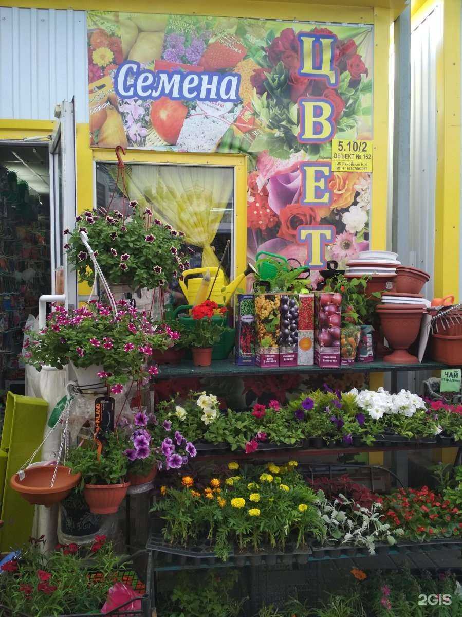 Отзывы на компанию Багира в Волгограде c фото - фотография 2 из 2