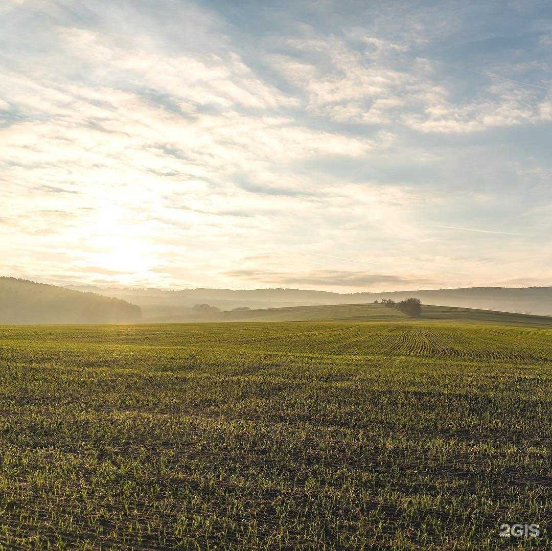 Отзывы на компанию Земля, юридическая компания в Александрове c фото