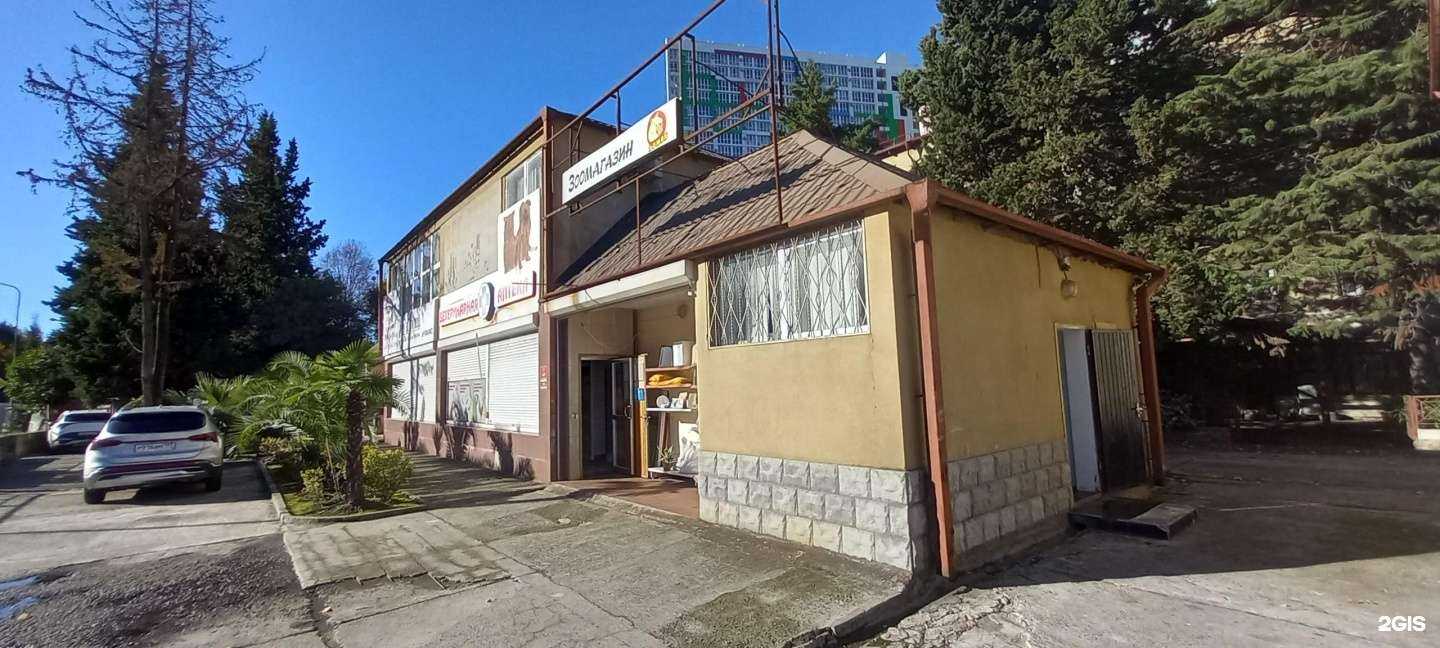 Отзывы на компанию Хомяк в Сочи c фото - фотография 2 из 2