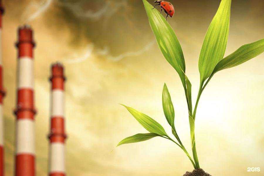 Отзывы на компанию Северо-Кавказский учебный комбинат в г. Краснодар c фото