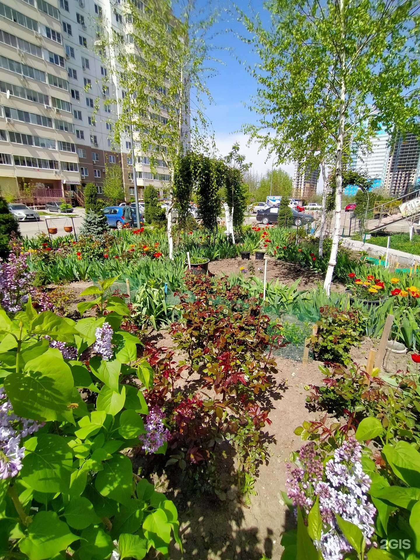 Отзывы на компанию Мой Ангел в Краснодаре c фото - фотография 2 из 2