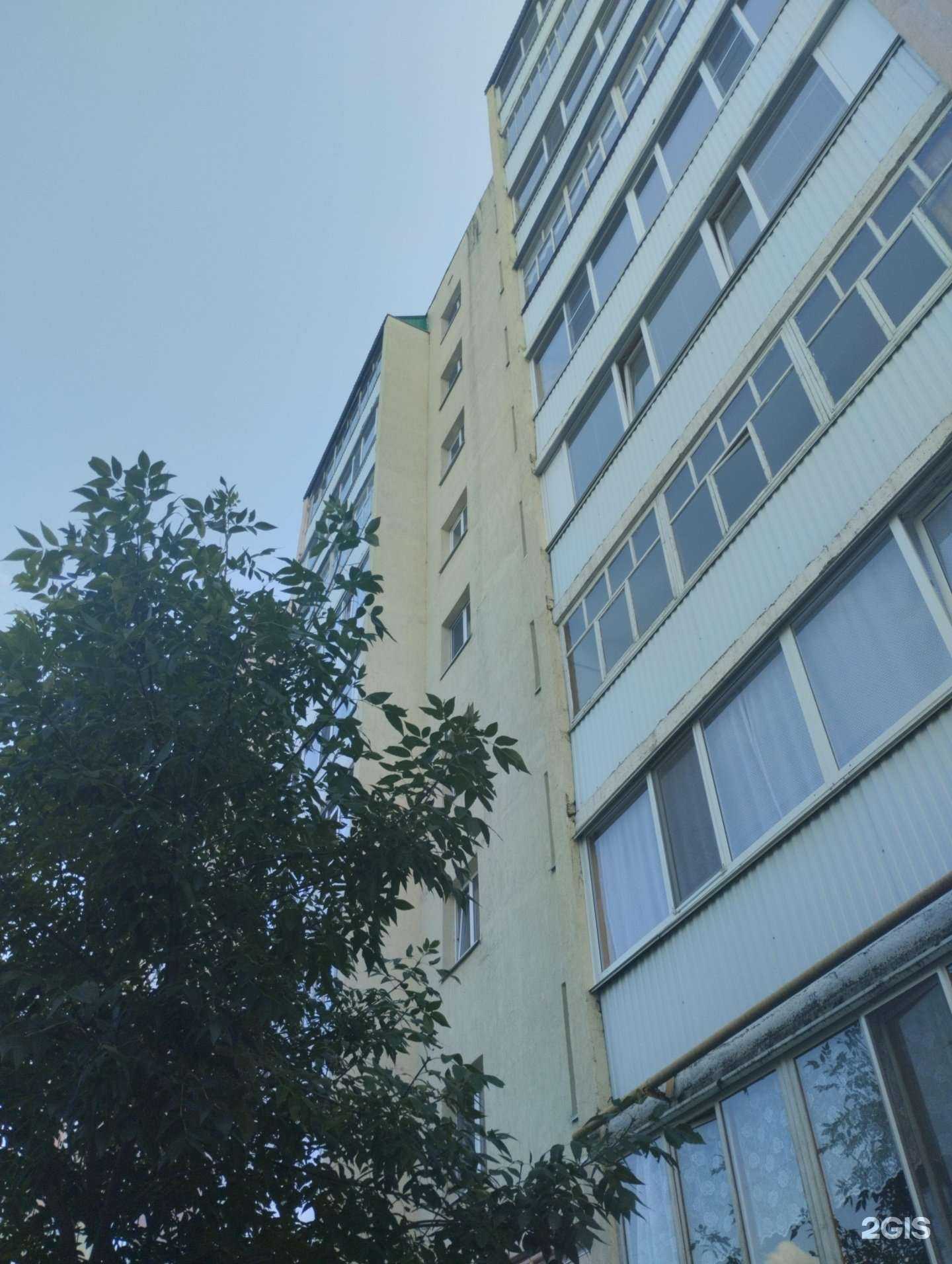 Отзывы на компанию Macrosoft в Нефтекамске c фото - фотография 2 из 2