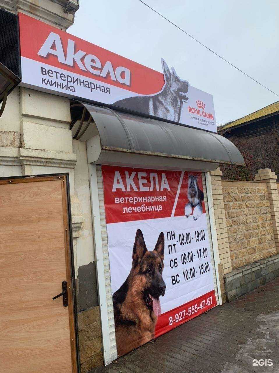 Отзывы на компанию Акела в Астрахани c фото