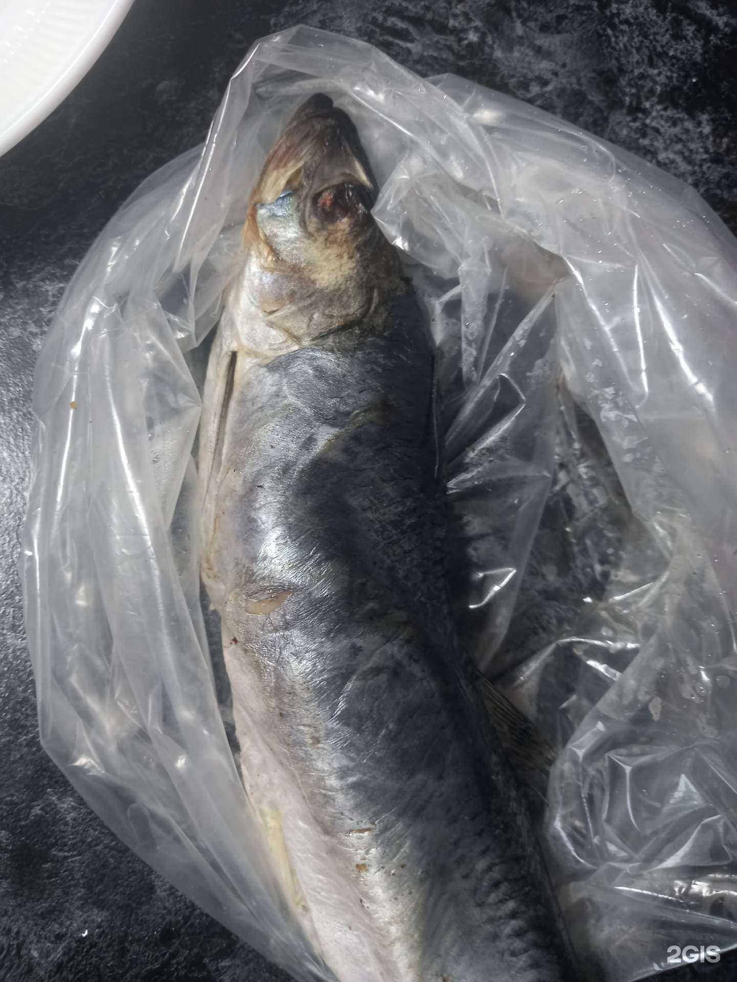 Отзывы на компанию Колпашевский Рыбозавод в Томске c фото