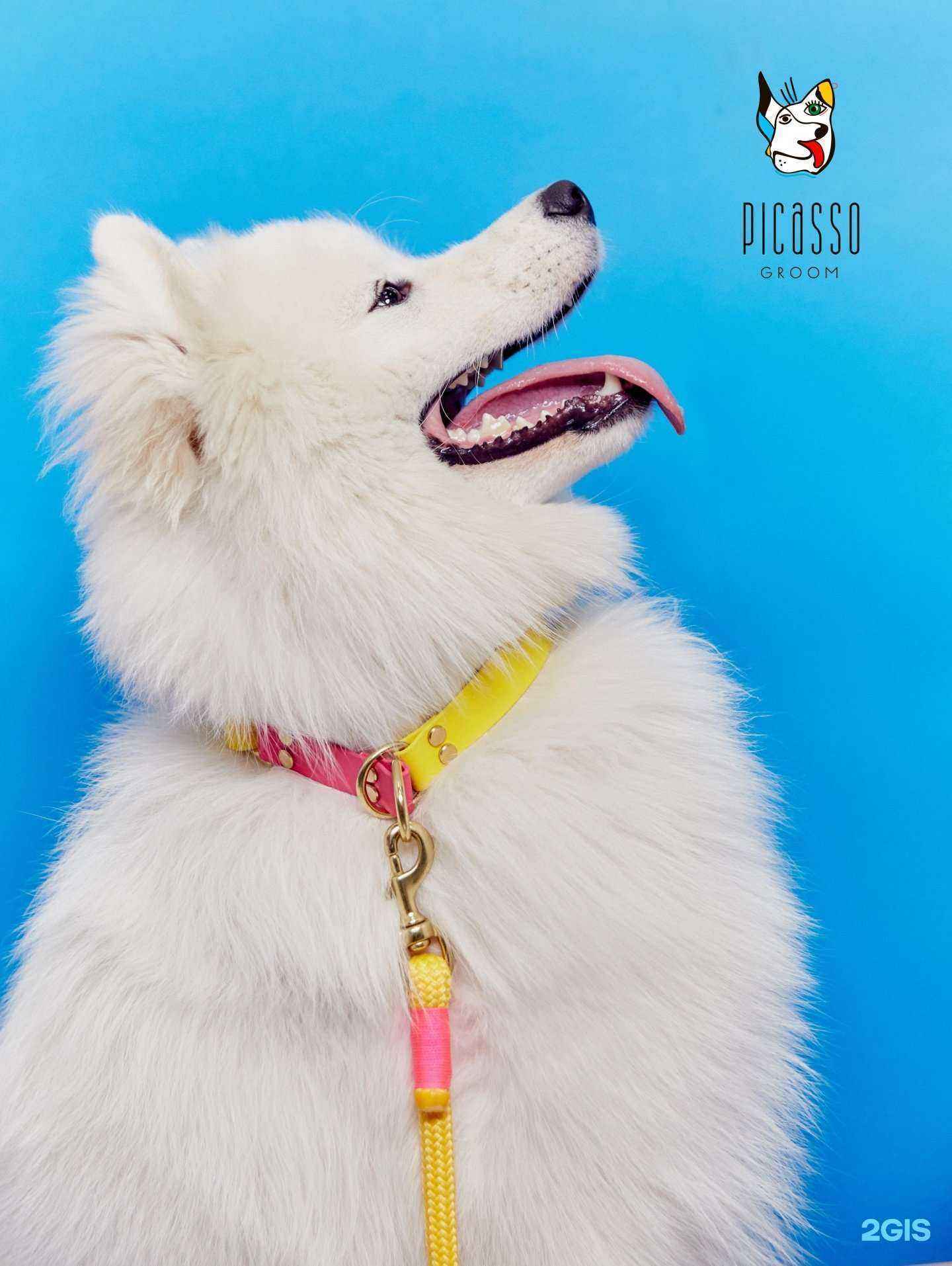 Отзывы на компанию Picasso Groom в г. Липецк c фото