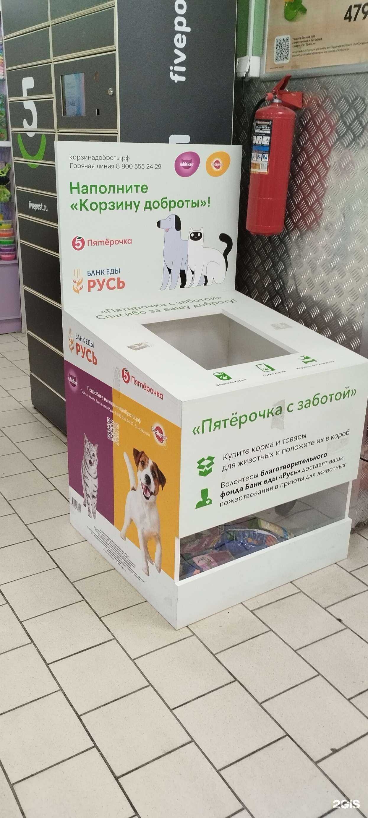 Отзывы на компанию Русь в г. Челябинск c фото