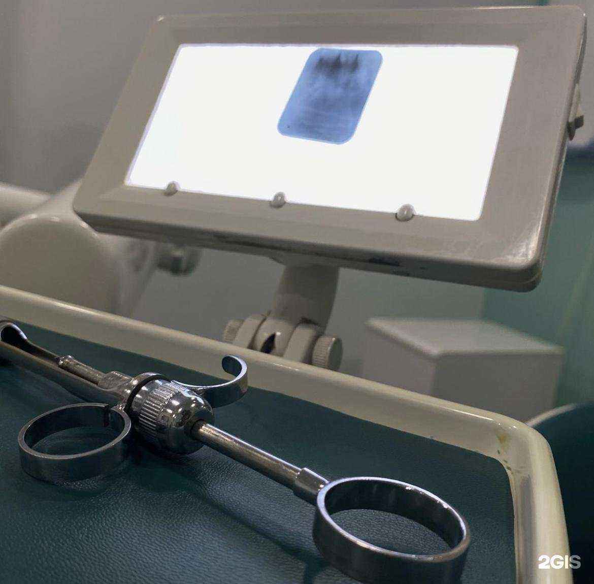 Отзывы на компанию Dr_A.Albertovich в г. Махачкала c фото