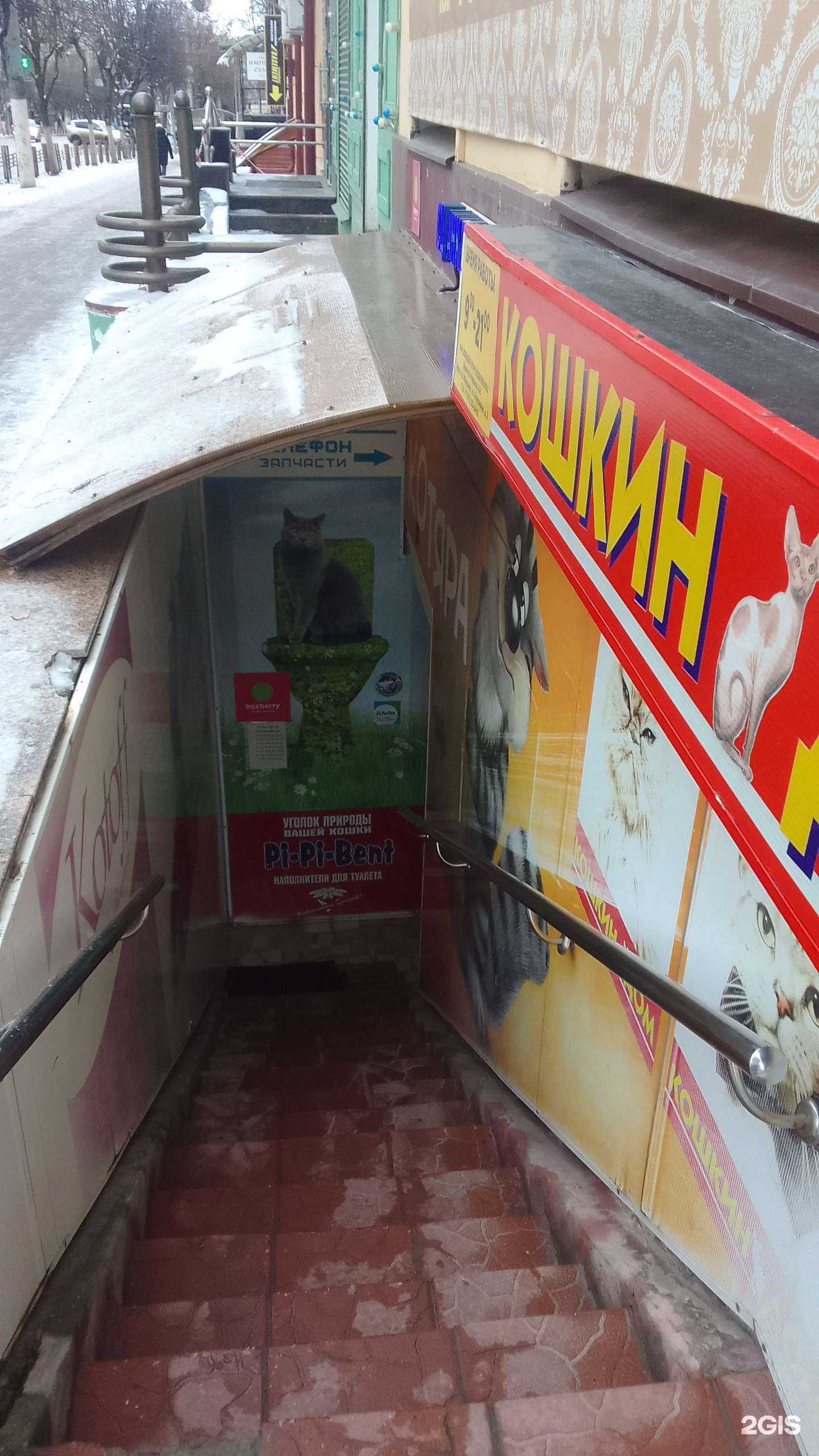 Отзывы на компанию Кошкин дом в Брянске c фото