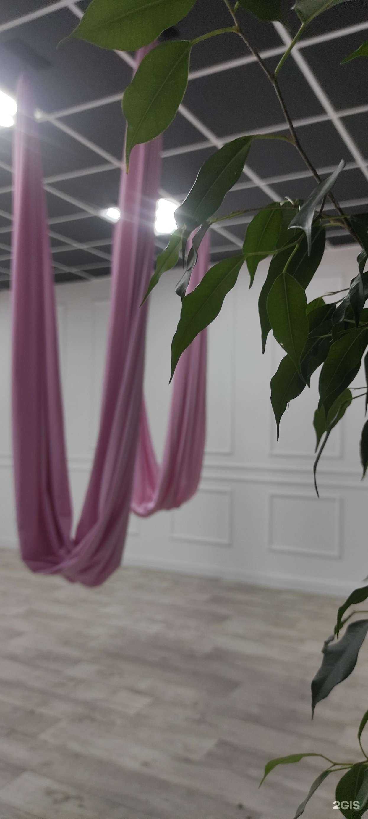 Отзывы на компанию Stretch out в г. Новочебоксарск c фото