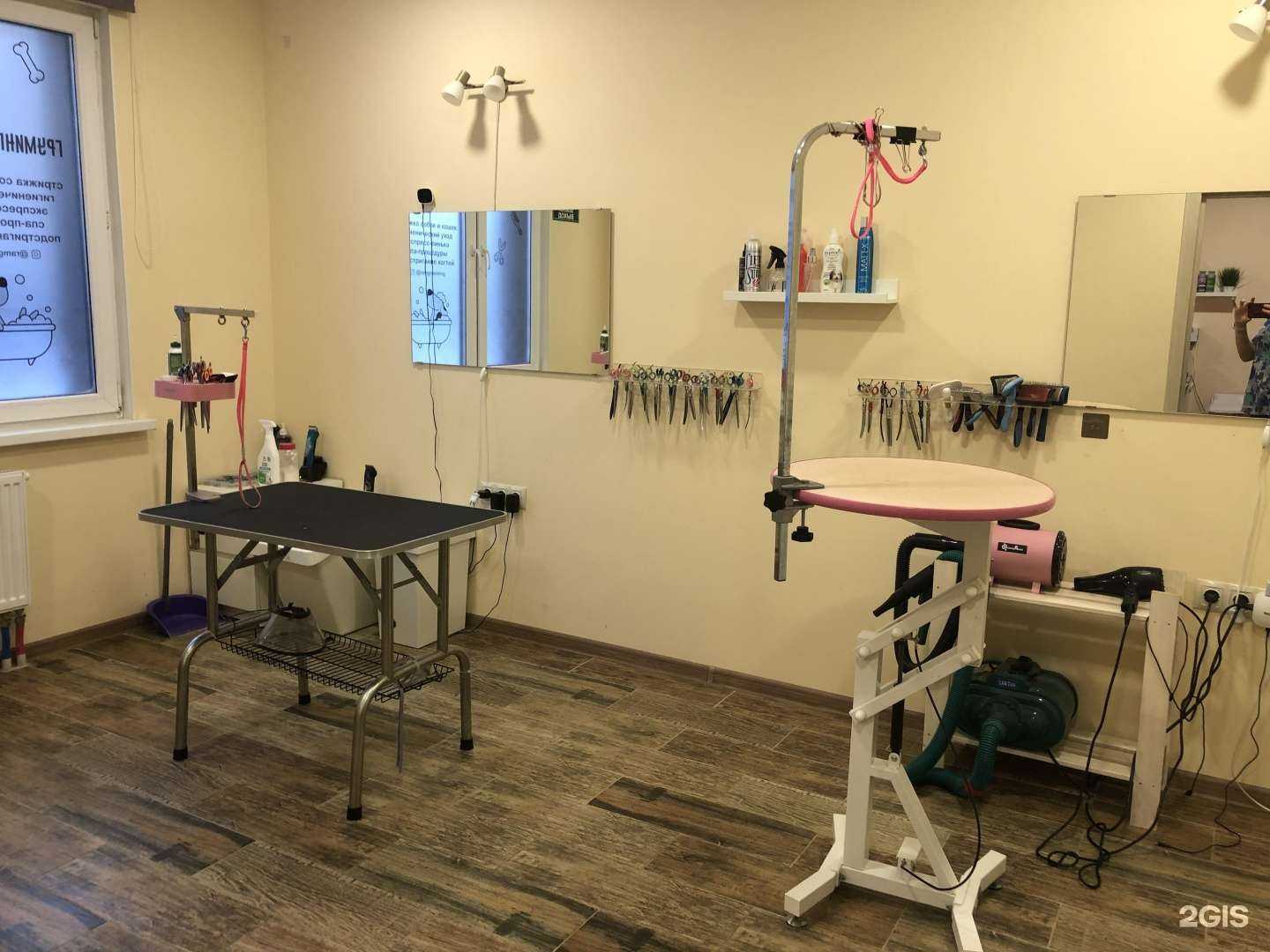 Отзывы на компанию Груминг-студия в Раменском c фото