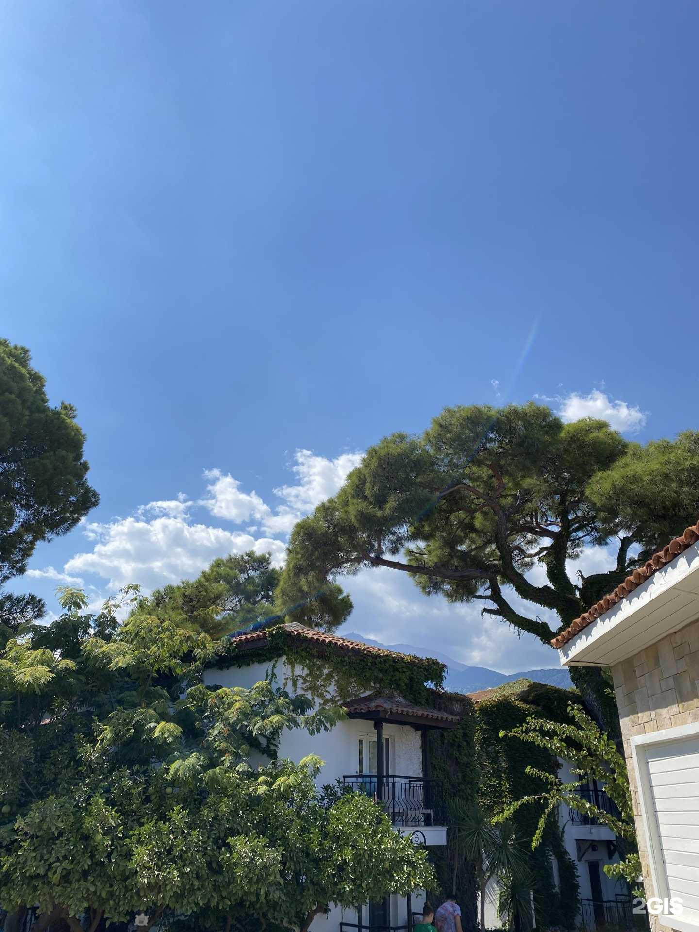 Отзывы на компанию Пять звезд в г. Петрозаводск c фото