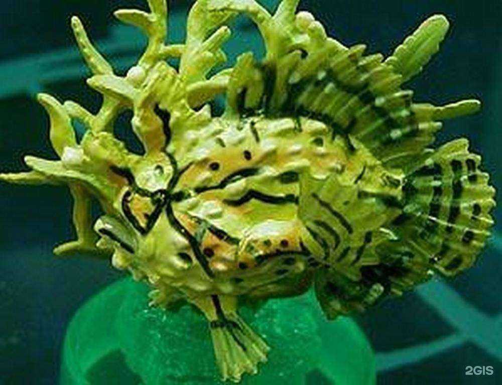 Отзывы на компанию Дайвинг в г. Ярославль c фото