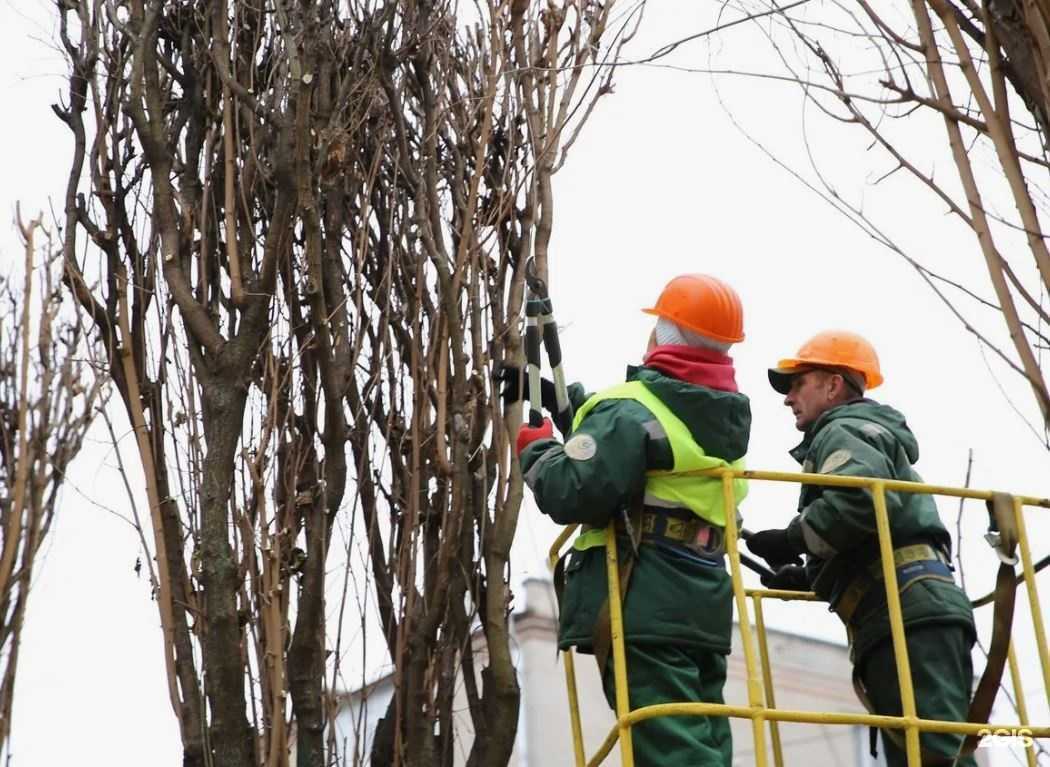 Отзывы на компанию ДезЩит в Сочи c фото