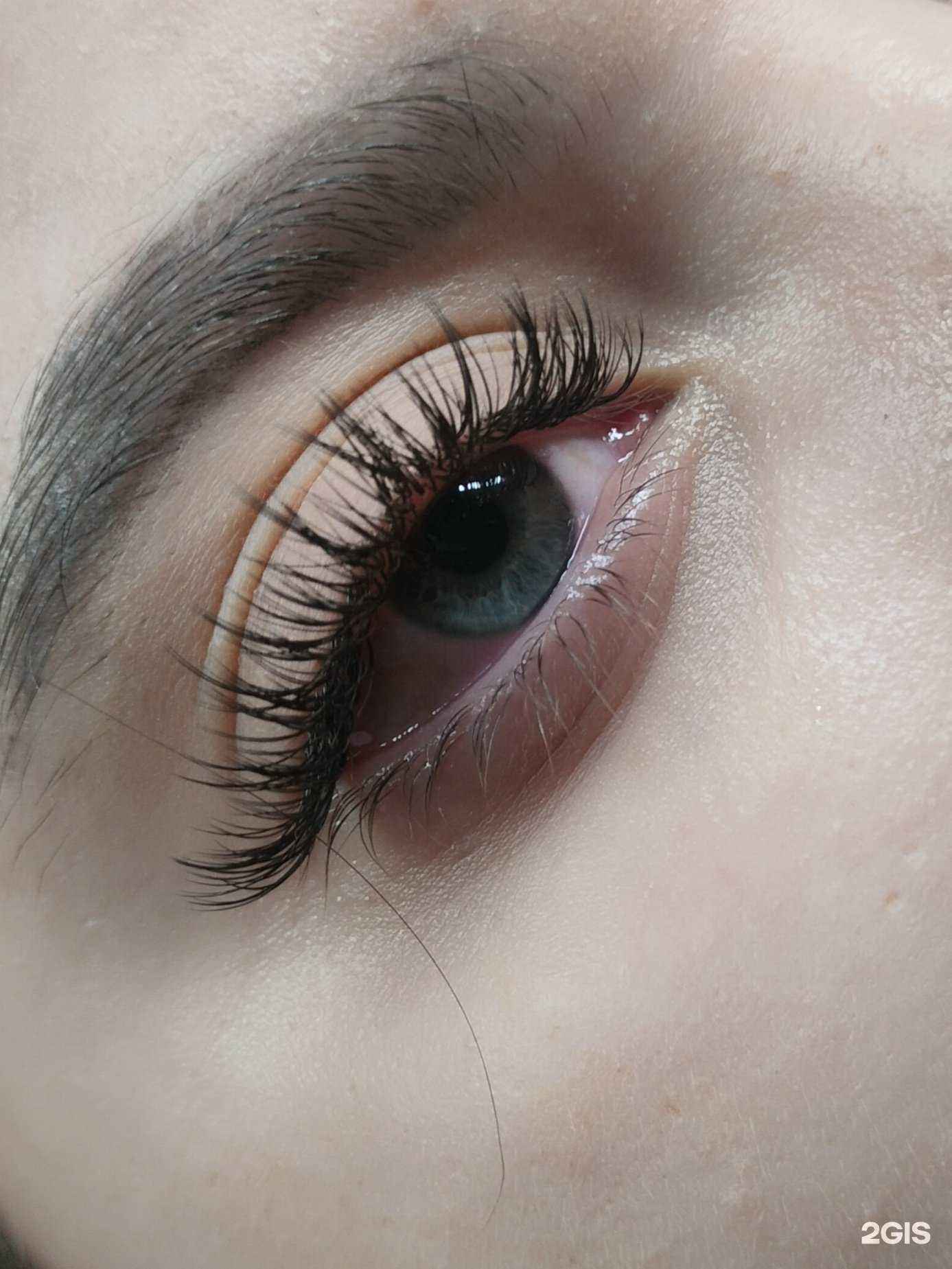 Отзывы на компанию Lush Lush в Хабаровске c фото