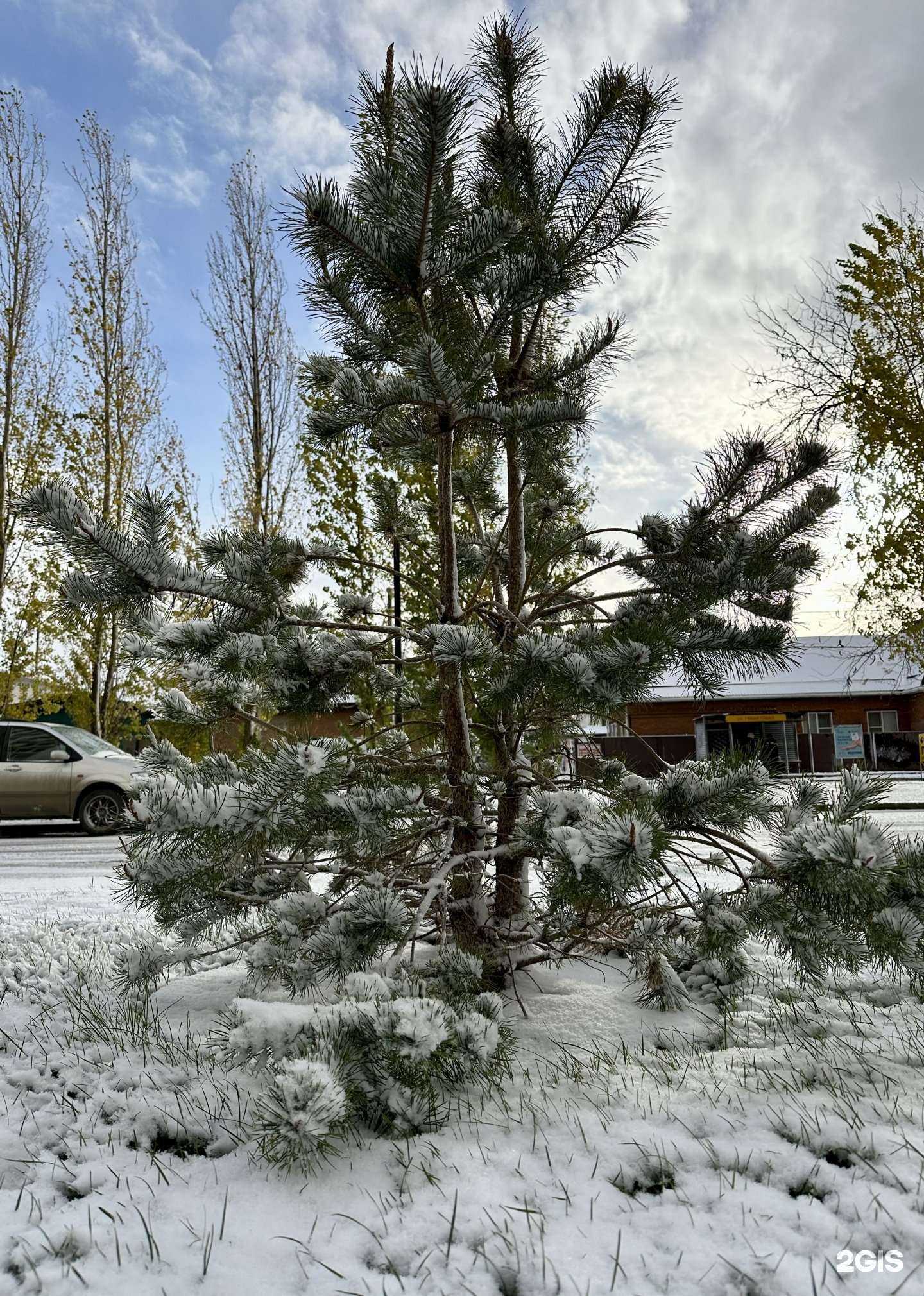 Отзывы на компанию Морское Изобилие в г. Краснодар c фото