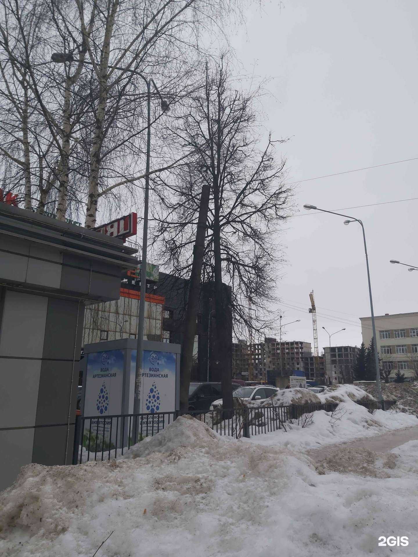 Отзывы на компанию Ярославская Акватория в г. Ярославль c фото