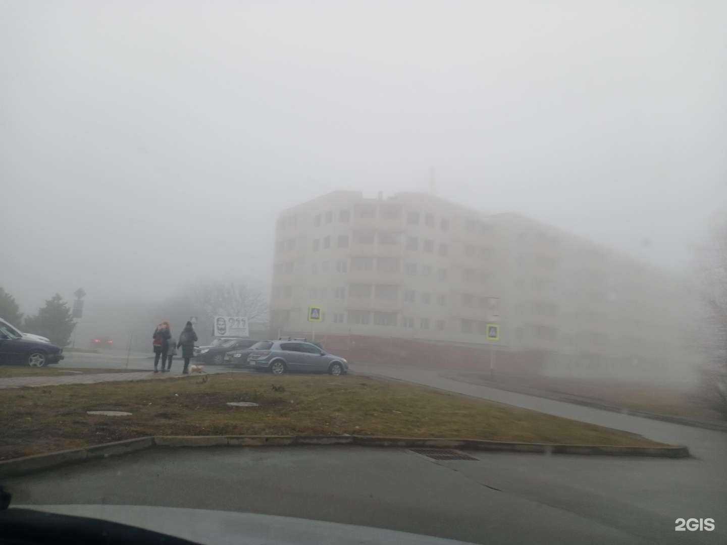 Отзывы на компанию ВИТА Экспресс в Ставрополе c фото - фотография 2 из 2