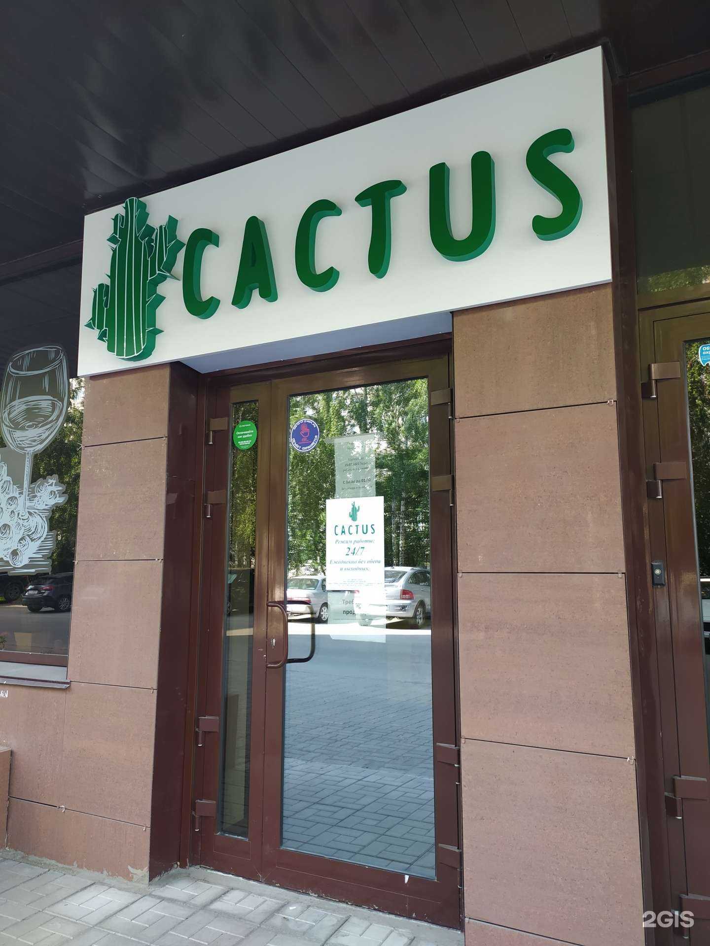 Отзывы на компанию Cactus в г. Новосибирск c фото
