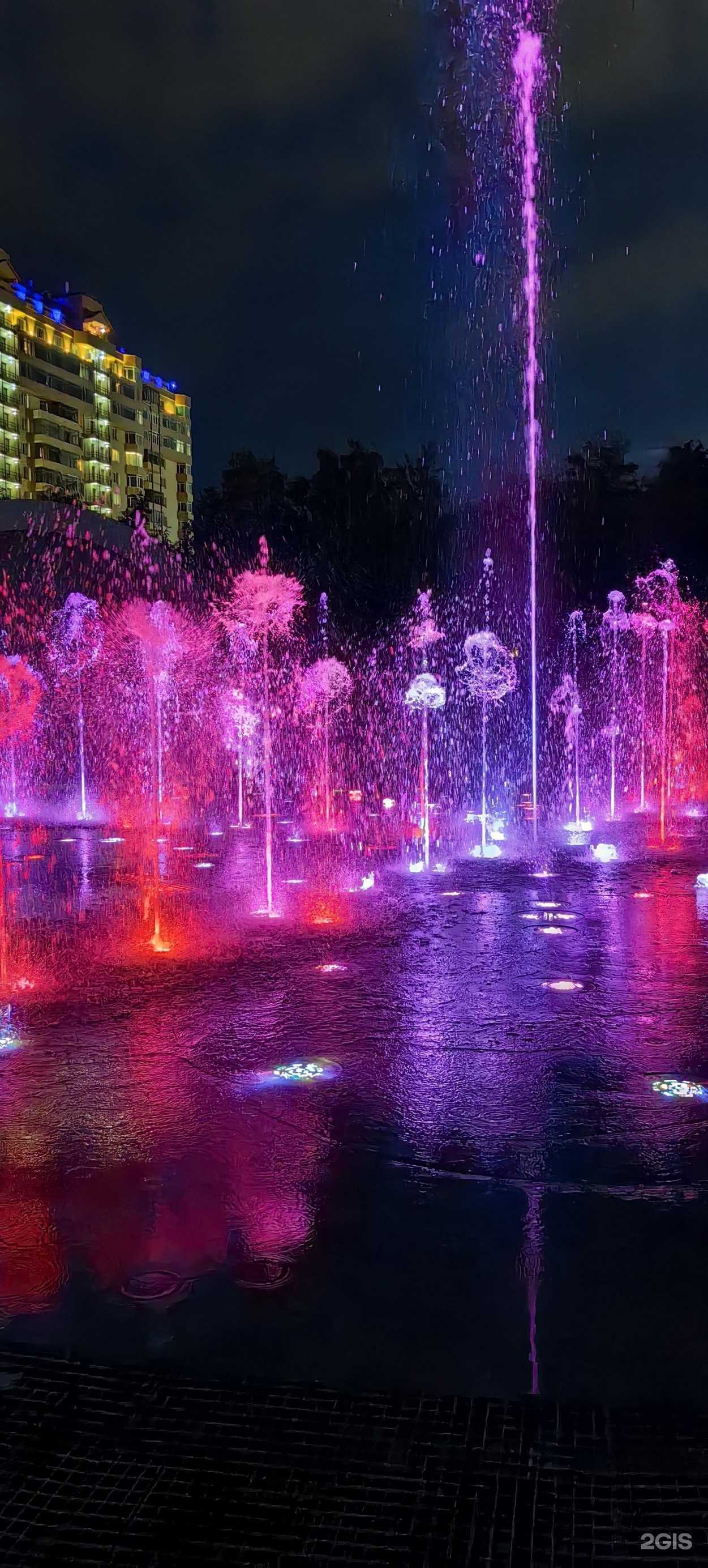 Отзывы на компанию Центральный парк в Новосибирске c фото