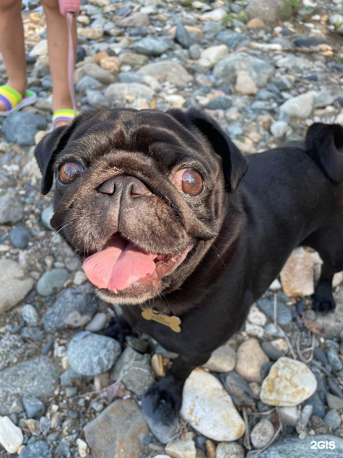 Отзывы на компанию Милый друг в Владивостоке c фото