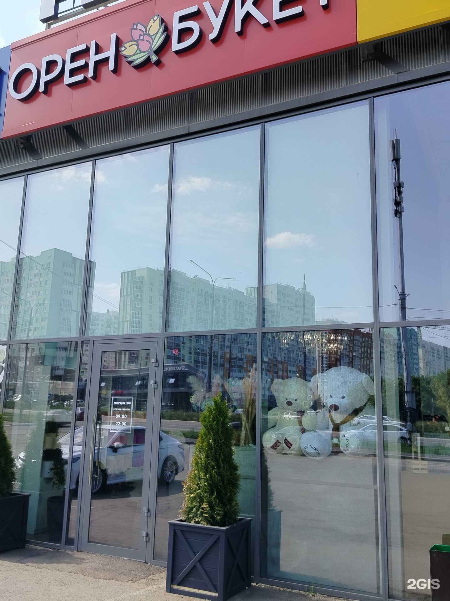 Отзывы на компанию Импорт Флауерс в Оренбурге c фото