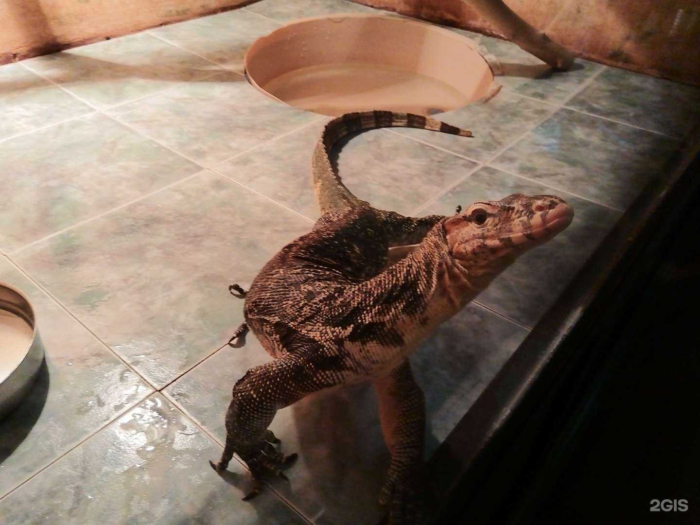 Отзывы на компанию Школа №48 в Тюмени c фото