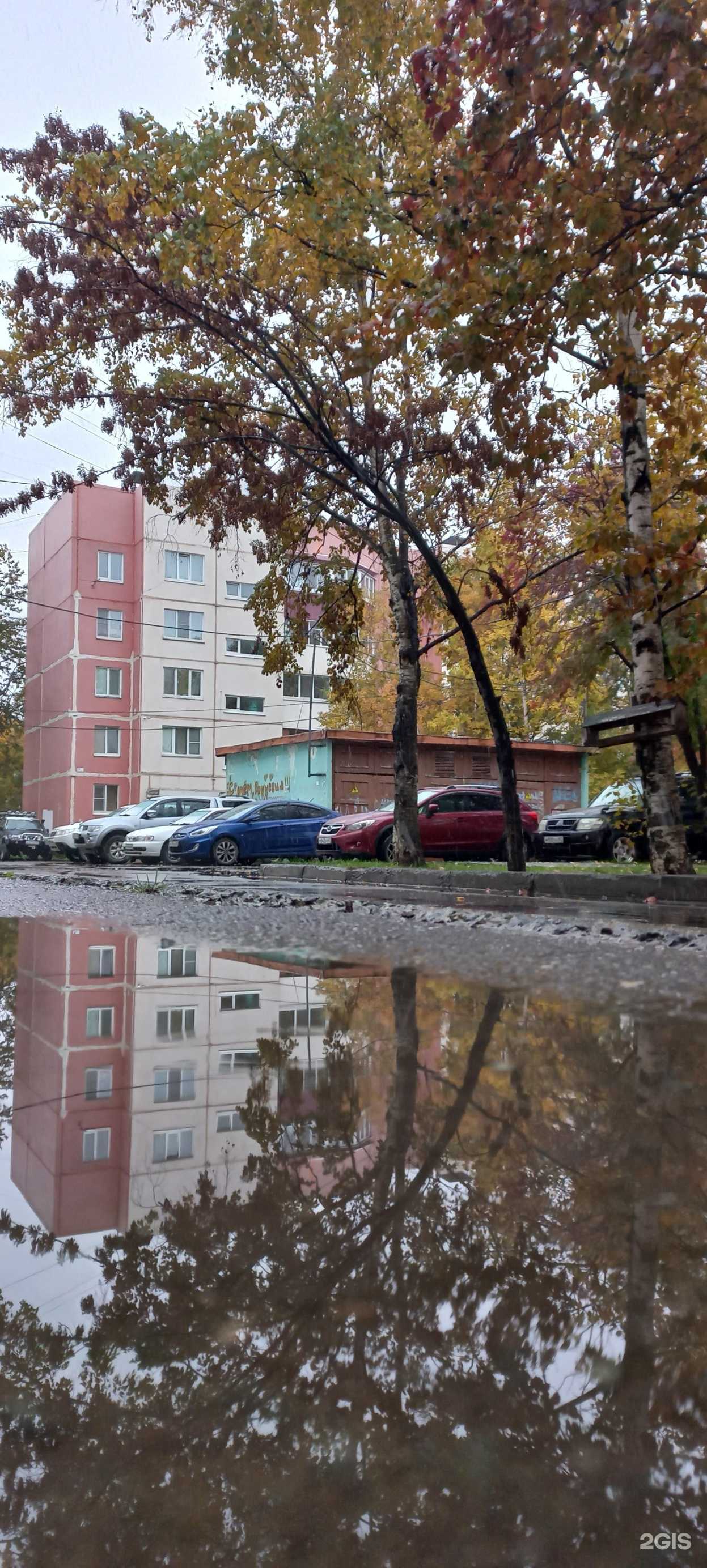 Отзывы на компанию Гинес в Южно-Сахалинске c фото - фотография 2 из 2