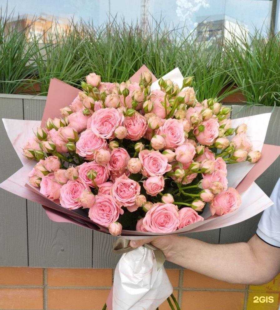 Отзывы на компанию Машенька в Смоленске c фото