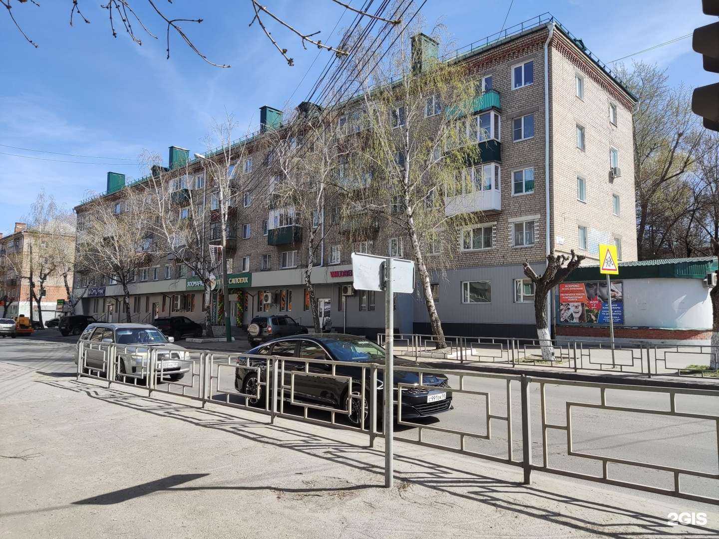 Отзывы на компанию Пёс в сапогах в Пензе c фото - фотография 2 из 2