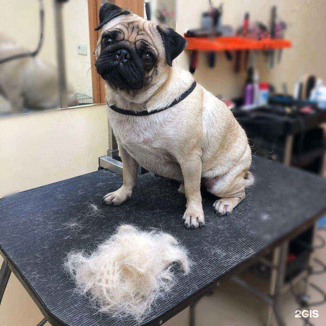 Отзывы на компанию Ник в Астрахани c фото