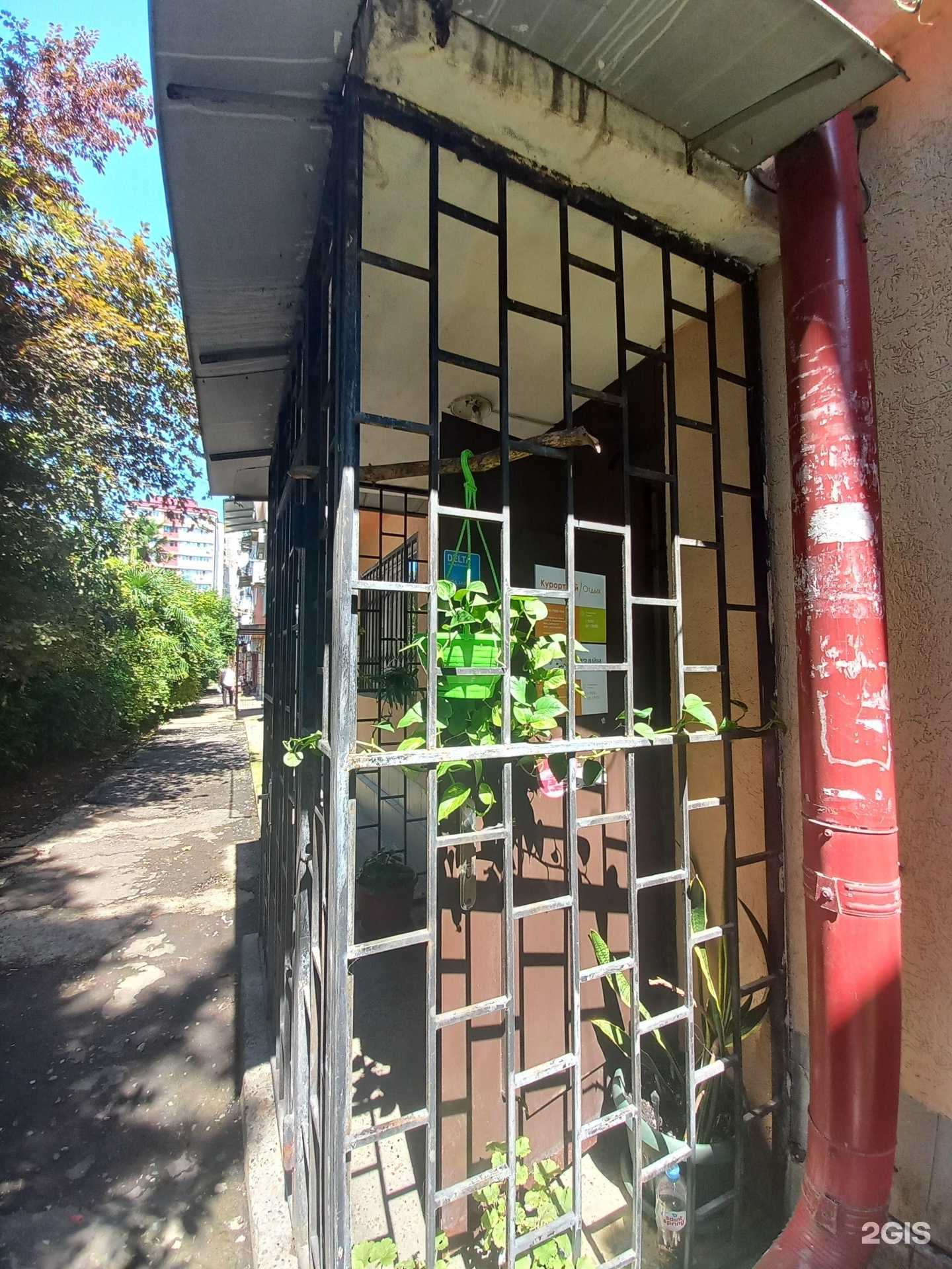 Отзывы на компанию Курортный отдых в Сочи c фото