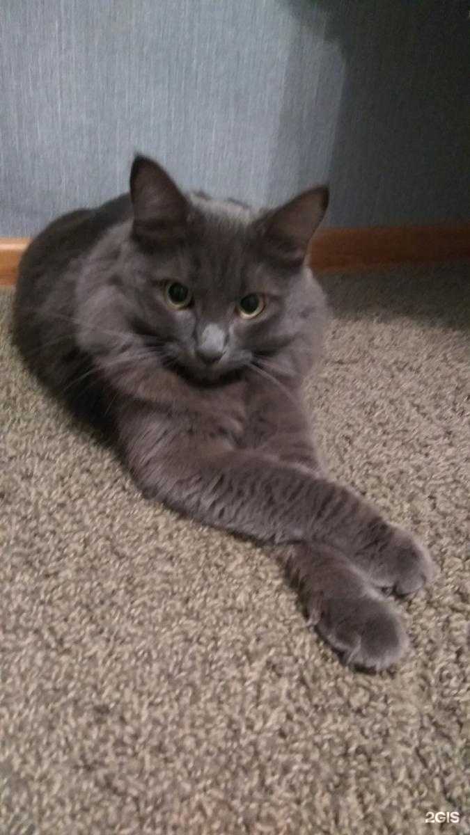 Отзывы на компанию Уфимская городская ветеринарная станция республики Башкортостан в Уфе c фото