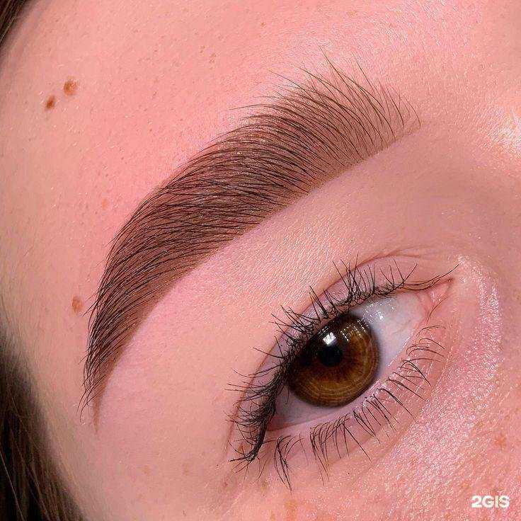 Отзывы на компанию Amri в Сургуте c фото