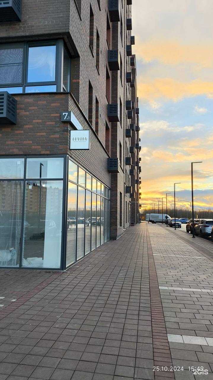 Отзывы на компанию Levita в Чебоксарах c фото