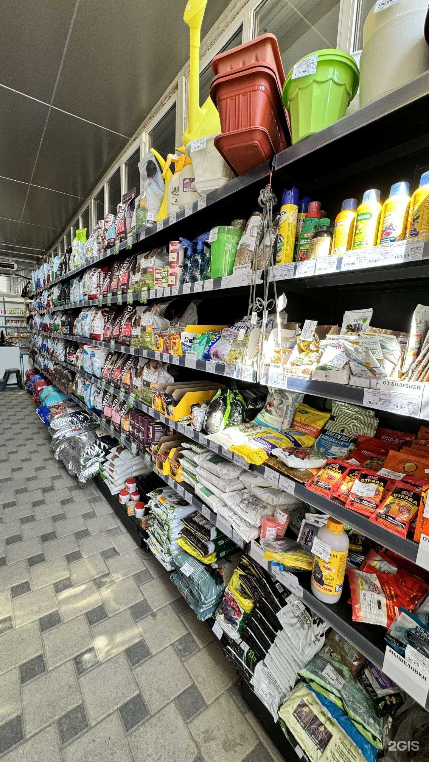 Отзывы на компанию Зоомир в Майкопе c фото